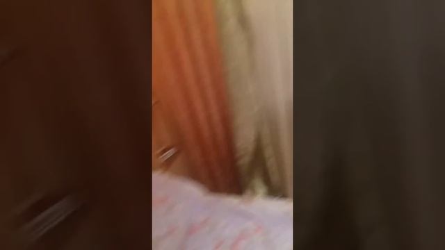 Обзор пижамы,стичч кигуруми.😗😗😎😍😘😛😛 смотреть онлайн