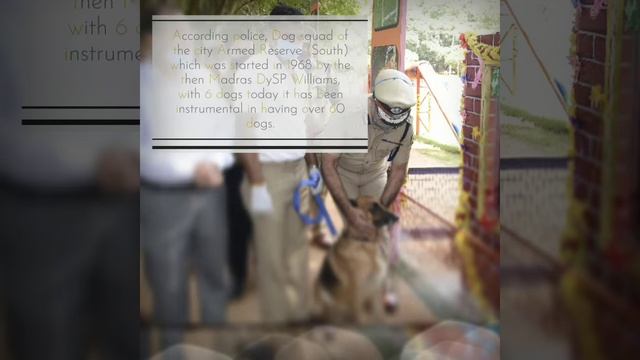 Dog Park By Bengaluru City Police For Training Canines