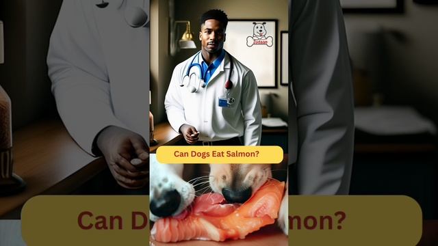 Can Dogs Eat Salmon? #CanDogsEatSalmon #DogFood #Zudaan #dogfoodreview #dogfoodlover #doglife #dog смотреть онлайн