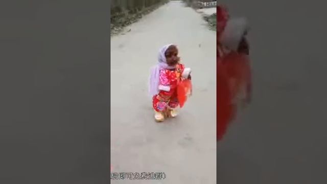Ходя шие питомц смотреть онлайн