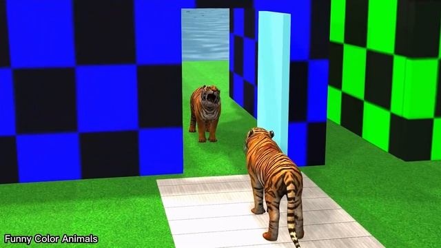 Lion,Tiger, Gorilla, Pantera and Bear eat fruits to get to their children, but not everyone is luck смотреть онлайн