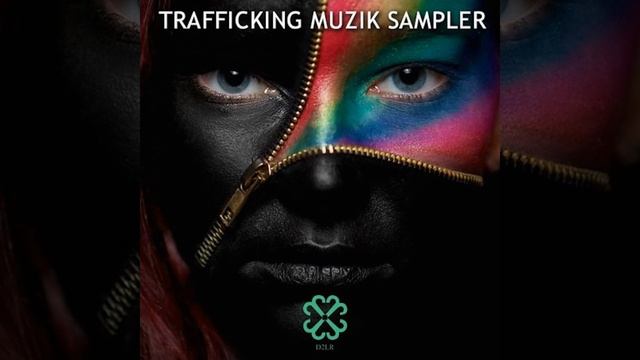 The Flavor (Steven Kass Remix) смотреть онлайн