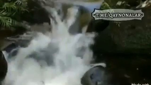 #Шеьр #Азизларим🌹Хаммамизи🌹 Илохим 🌹 Аллох 🌹 Узи 🌹 Асрасин 🌹