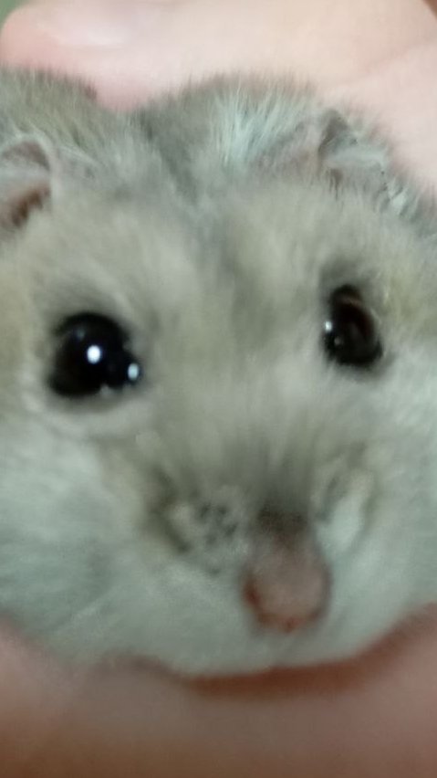 scene_output.mp4
