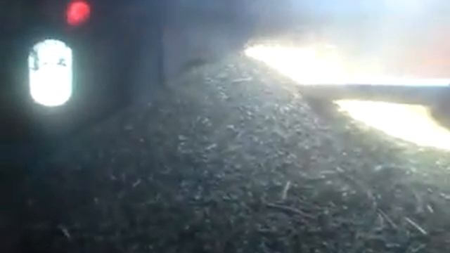 Нива СК-5М1.Гречька.Обмолот.1.MP4