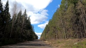 #19 НИЖНИЙ ТАГИЛ Дорога в сады