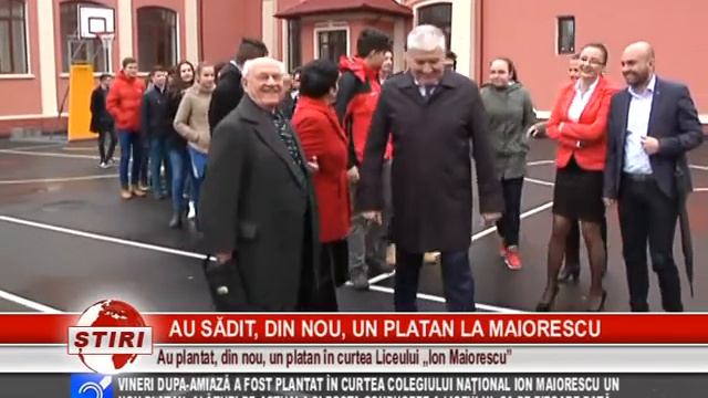AU SĂDIT, DIN NOU, UN PLATAN LA MAIORESCU смотреть онлайн