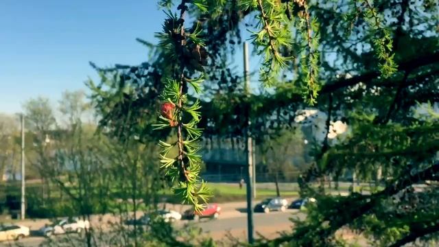 Spring'16 in Helsinki смотреть онлайн