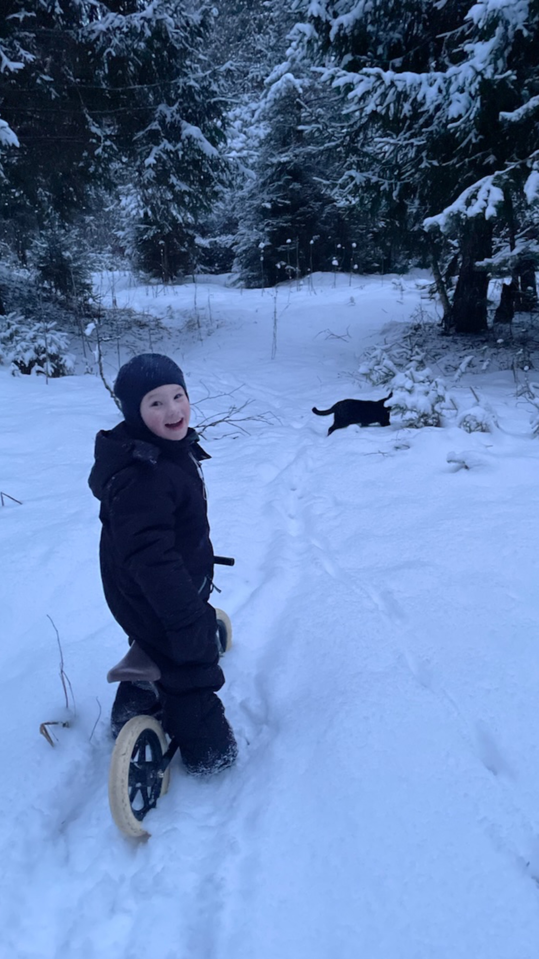 Котопес какой то!