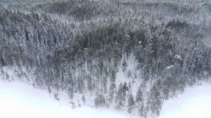 Yamaha Enticer 400TR, по следам волка