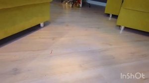 МУЛЬТЯШНЫЙ КОТ ЗОМБИ УБИЛ Свинку Бузю и КУЗЮ ! **Вера в Шоке** Морская Свинка Бузя и Кузя Вера 24!!