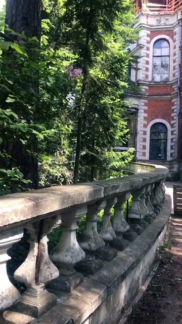 По дороге с оленями в усадьбу и готическую церковь ⛪️ #travel #подмосковье #быково #олени #усадьба смотреть онлайн