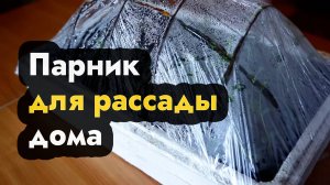 Как сделать парник для рассады для дома - делаем рассадный парник своими руками дома
