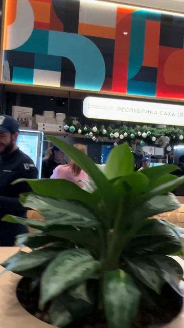 «Дом Российской Кухни» ВДНХ, Якутия, Азбука Севера😊 с 04.11. уже приготовили 5000порц строганины🐟 смотреть онлайн