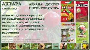 Актара - одно из лучших средств от вредителей плодовых, ягодных, овощных и декоративных культур