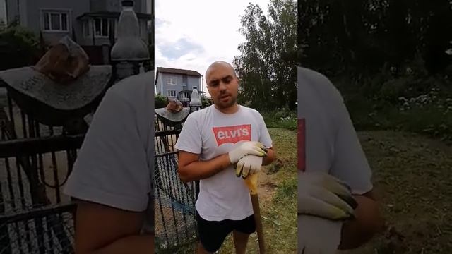 Ландшафтный дизайн смотреть онлайн