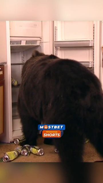 У Букиных гости🤣 ||Счастливы вместе. #букины #shorts #сериал смотреть онлайн