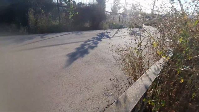 Утреннее угощения для молоденьких львиц. смотреть онлайн