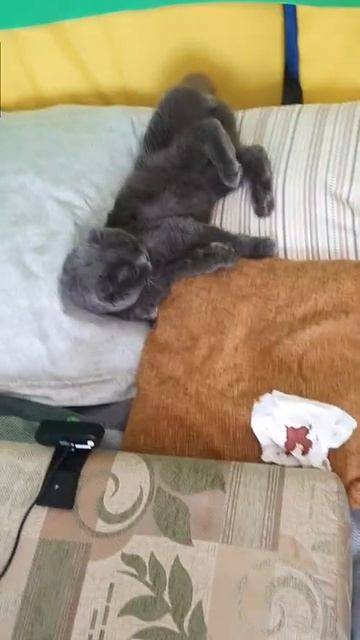 За кадром – Бося во время перерыва в съёмках клипа смотреть онлайн