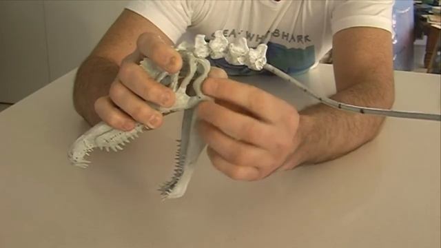 Spinosaurus Sculpture 2 смотреть онлайн