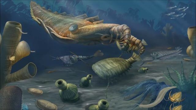 Musicant Cat - Pikaia Song смотреть онлайн