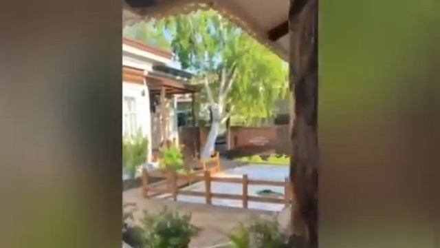 17 ноября 2021 г.Видео от Лены.