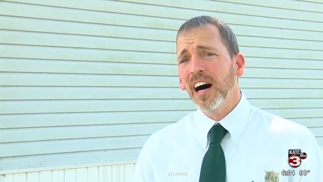 Formosan Termites Swarm Acadiana Homes