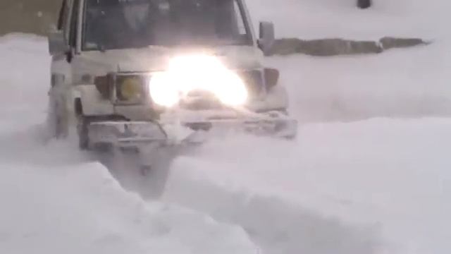 BK RKR the snow leopard смотреть онлайн