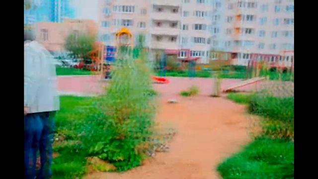 Акция Наш лес-посади свое дерево в Микрорайоне НаСвязистов г.Краснознаменска! смотреть онлайн