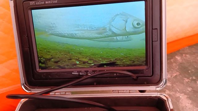 зимний подуст смотреть онлайн