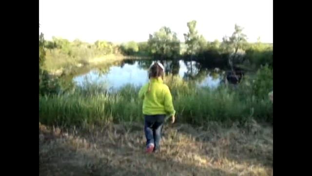 Влог. Ой, смотри лебеди смотреть онлайн