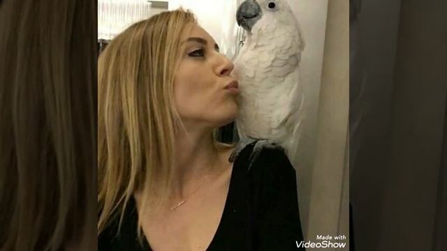 Sinem Kobal'dan harika görüntüler geldi..... смотреть онлайн