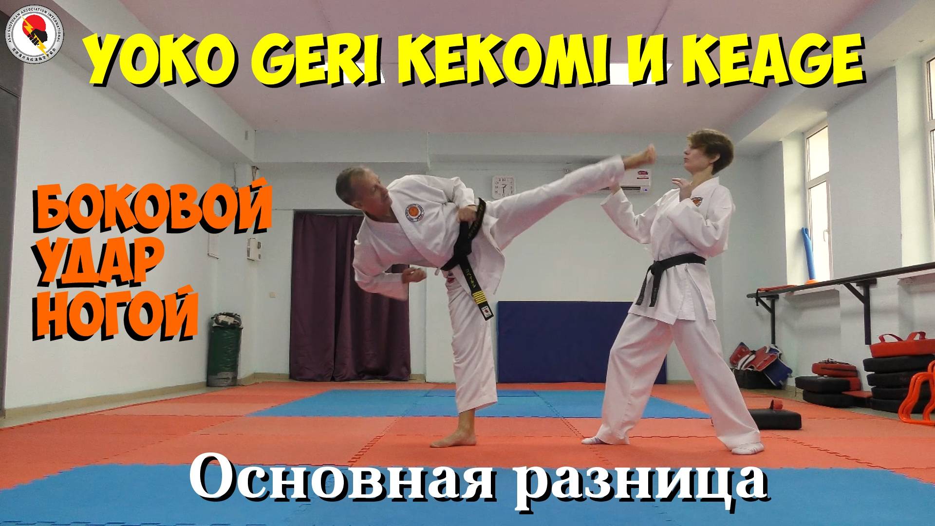 В чём различие ударов Ёко гери кекоми и Ёко гери кеаге? смотреть онлайн