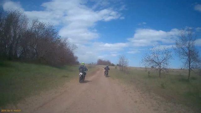 объехали табун лошадей (в начале их видно)