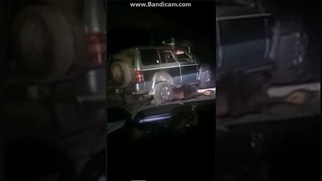 ЗЛОЙ МЕДЬВЕДЬ НАПАЛ НА ЧЕЛОВЕКА