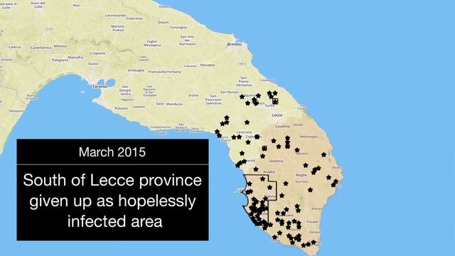 Xylella Fastidiosa infection spreading. смотреть онлайн