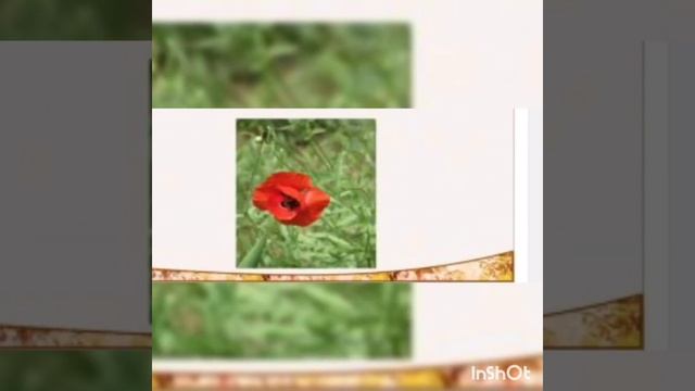 Малювання " Український віночок" смотреть онлайн