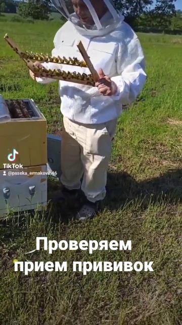 #пасекаермаковых #пасека #пчеловодство  #bee #honey #улей #матководство