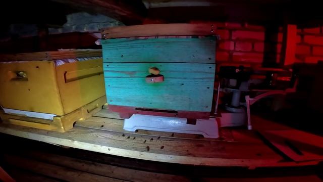 Р/к на 21 февраля смотреть онлайн