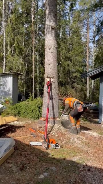 martinheljeved.se #arborist смотреть онлайн