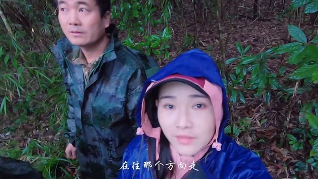 云南高黎贡山有一群可爱的人，守护着中国野外少于150只的天行长臂猿【滇西小哥】