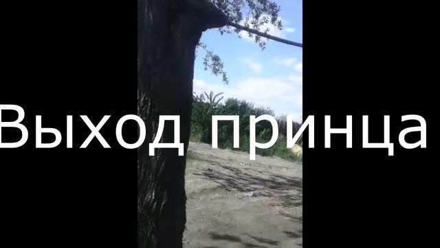 Легкие элементы Workout смотреть онлайн