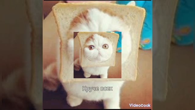 Quest Pistols Show Feat. Open Kids - Круче всех. Ремикс