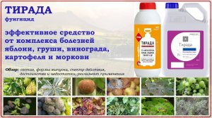 Тирада - эффективное средство от комплекса заболеваний яблони, груши, винограда,картофеля и моркови