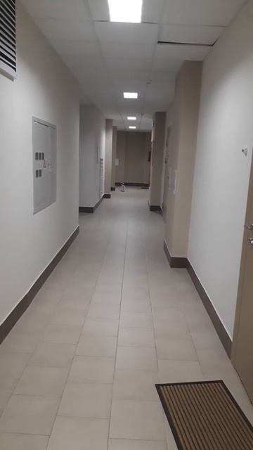 Умный кот приносит мячик в зубах смотреть онлайн