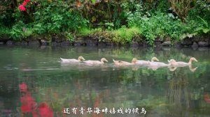 游保山 | Travel Baoshan【滇西小哥】