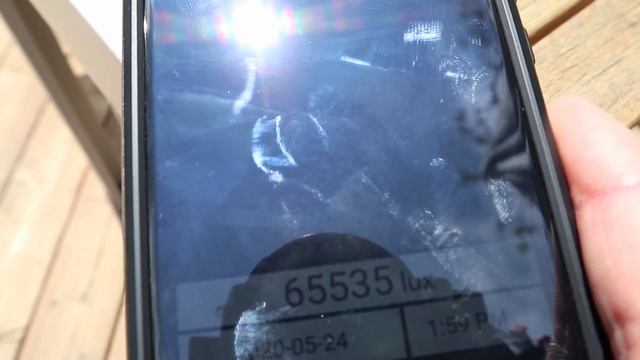 Summer is Coming - Transitioning Your Houseplants Outside смотреть онлайн