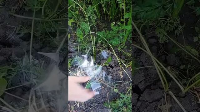 теплица своими руками