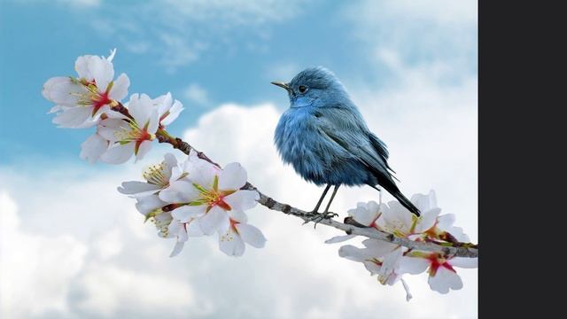 Екклесиаст глава 11. смотреть онлайн