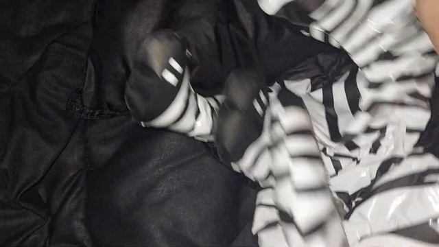 Two smol Zebra Inflatable Deflation смотреть онлайн